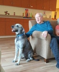 memory care visiting dog